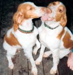 Gretchen and Sadie